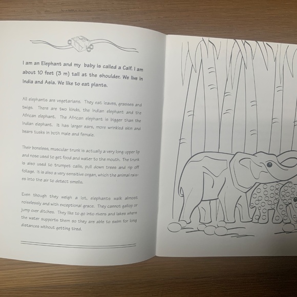 Cartier Activity Book - Picture 4 of 7